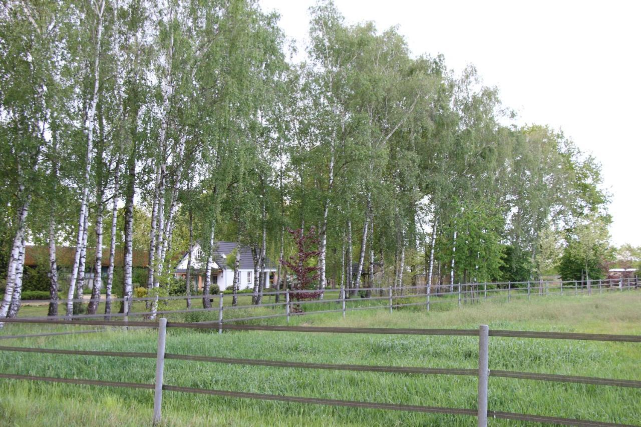 B&B Het Mooie Uitzicht Reuver Exterior photo
